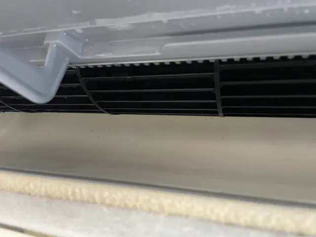 「今がチャンス！夏本番前に徹底クリーニング！」サービスの画像