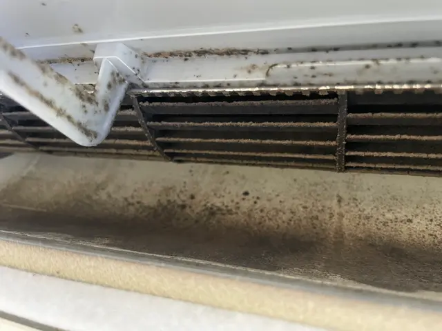 「今がチャンス！夏本番前に徹底クリーニング！」サービスの画像