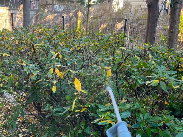 ◎店長の私が対応します◎業界10年の実績！大手の業務経験も豊富で安心！サービスの画像