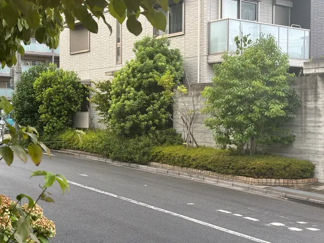 自社スタッフによる安心の植栽管理で、お庭をすっきり美しく変身サービスの画像