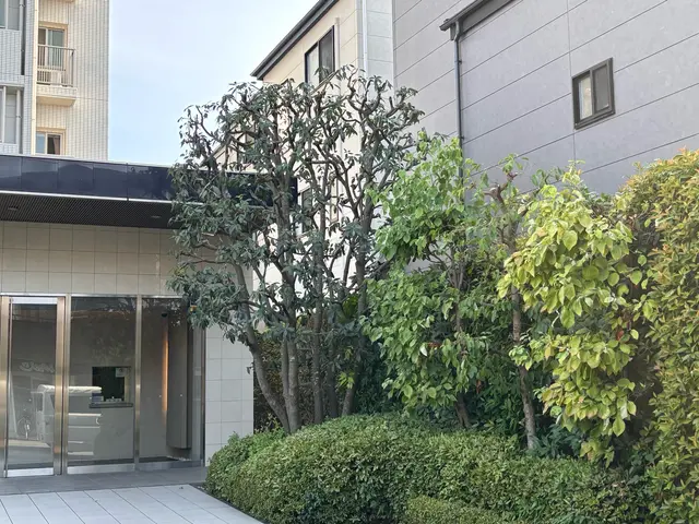 自社スタッフによる安心の植栽管理で、お庭をすっきり美しく変身サービスの画像