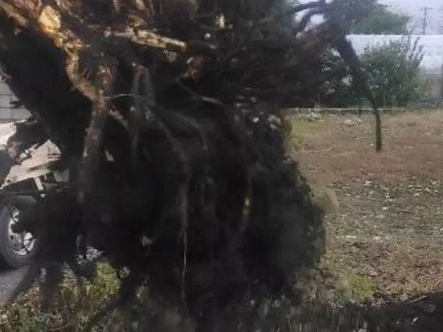 【対応地域外も相談可能◎】プロの技術で納得の仕上がりに！ご要望にお応えします。サービスの画像