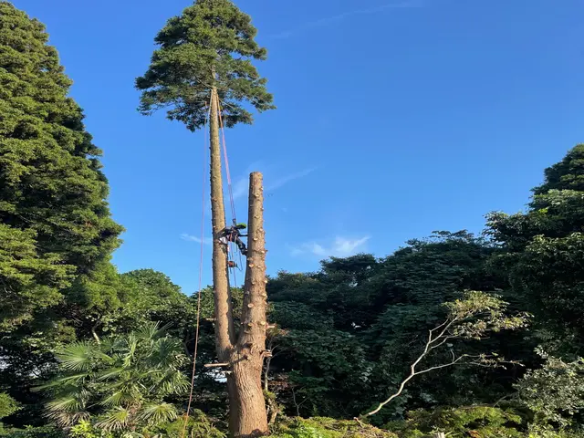 【対応地域外も相談可能◎】プロの技術で納得の仕上がりに！ご要望にお応えします。サービスの画像