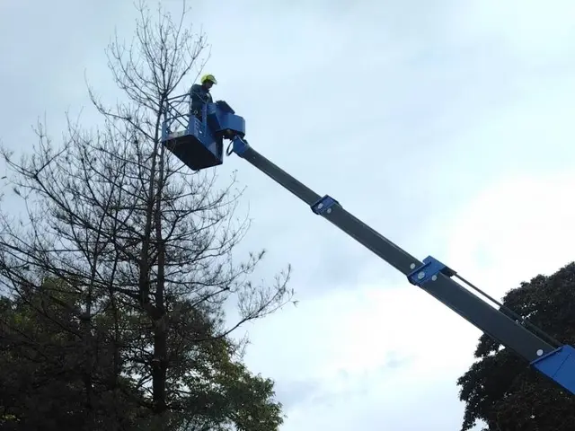 【対応地域外も相談可能◎】プロの技術で納得の仕上がりに！ご要望にお応えします。サービスの画像
