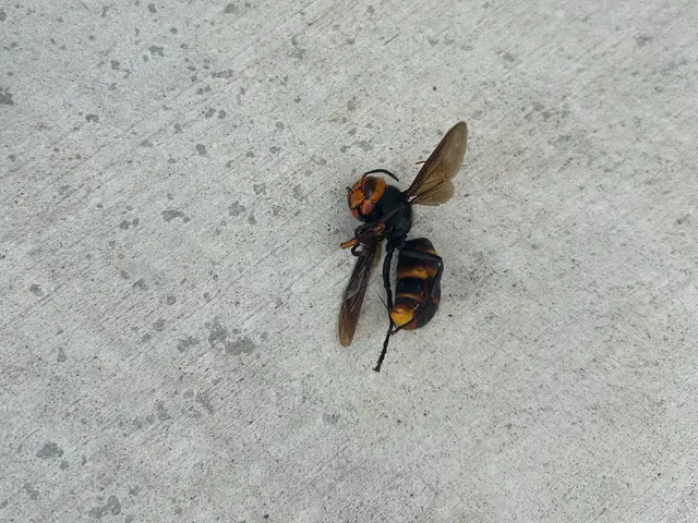 【女性スタッフ同行可能】お客様の声に寄り添い丁寧に対応させていただきます！サービスの画像