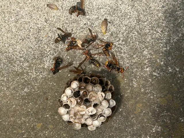 【女性スタッフ同行可能】お客様の声に寄り添い丁寧に対応させていただきます！サービスの画像