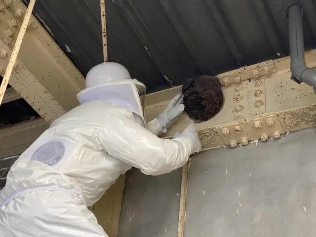 【安全と信頼の地域密着】即日対応可能の蜂駆除！スズメバチ2.2万アシナガバチ9千サービスの画像