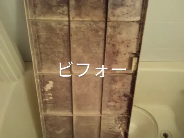 浴室クリーニングエプロン内洗浄込み(外せる物のみ)※お願い事項をご確認くださいサービスの画像