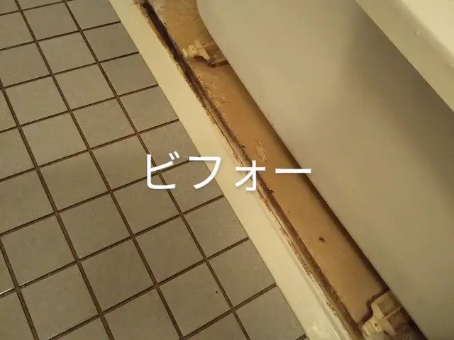 浴室クリーニングエプロン内洗浄込み(外せる物のみ)※お願い事項をご確認くださいサービスの画像