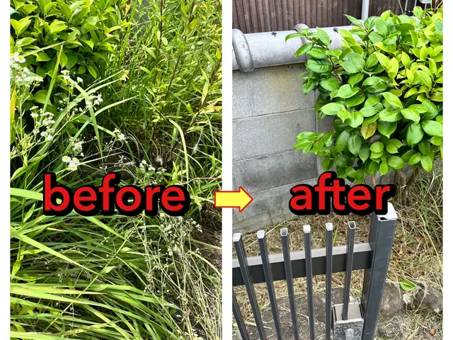 【機械の音が気になる方は】手作業草むしり/丁寧に草をやっつけます！サービスの画像