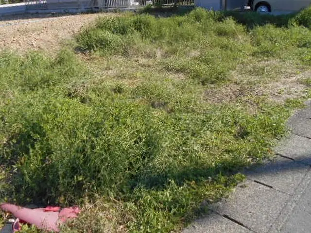 【業歴20年！】お客様との絆を大切に、どのようなご相談にも誠実にお応えします。サービスの画像