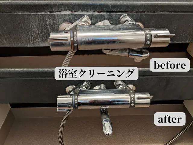 早めの大掃除がオススメです！！赤ちゃんやペットがいるご家庭も大歓迎です☆サービスの画像