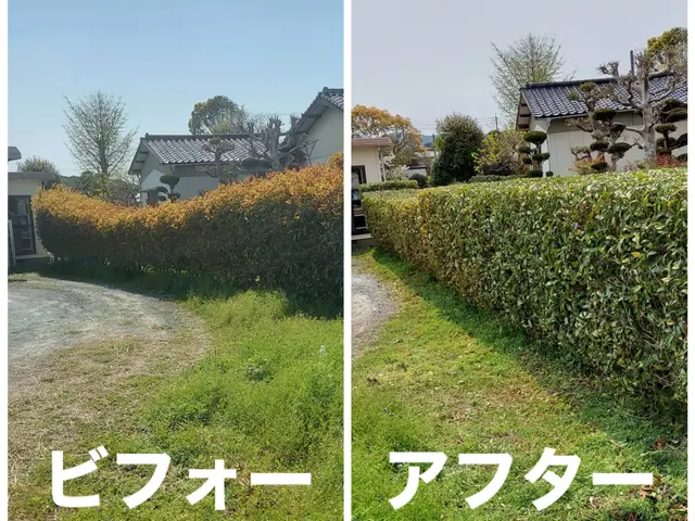 植え込み、生垣の剪定サービスの画像
