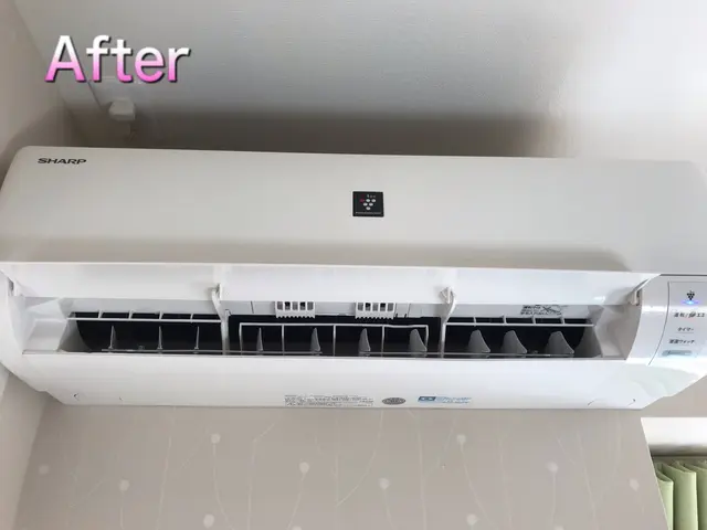 夫婦経営♪2年連続オリコン調査ハウスクリーニング部門1位のおそうじ革命です☆サービスの画像