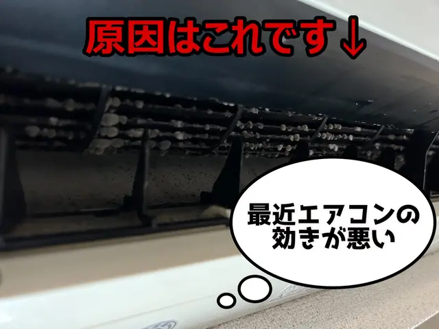 【お子様ペットも安心な洗剤】圧倒的質にこだわる 徹底洗浄エアコンクリーニングサービスの画像