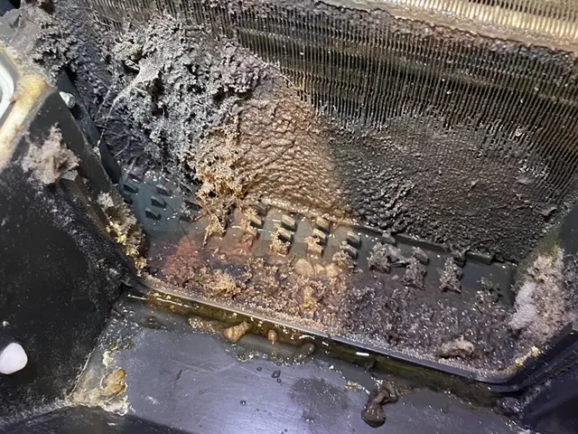 修理も出来る洗濯機クリーニング店です。ドラム式洗濯機は当店にお任せ下さい！サービスの画像