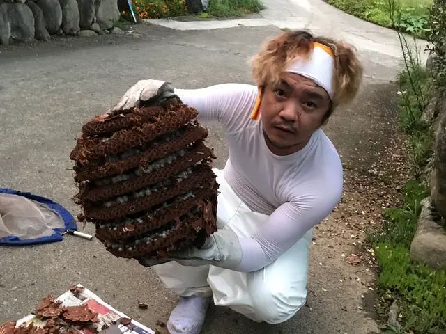 ＜山梨県全域＞アシナガバチは1万円！日程が合えば翌日対応OK！サービスの画像