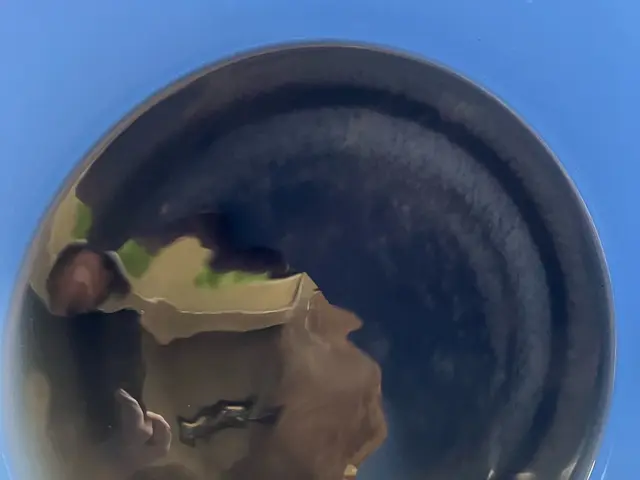 【お掃除機能無し限定◎】ペット・お子様がいるご家庭も大歓迎☆サービスの画像