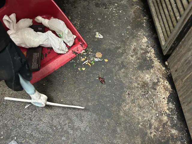 【大阪・兵庫・夜中も早急駆けつけ】対策しておかないと…この時期から爆増えです。サービスの画像