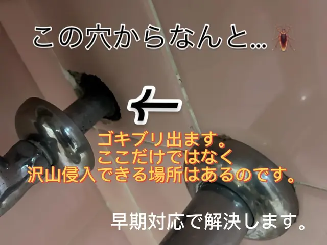 【大阪・兵庫・夜中も早急駆けつけ】対策しておかないと…この時期から増えてきます。サービスの画像
