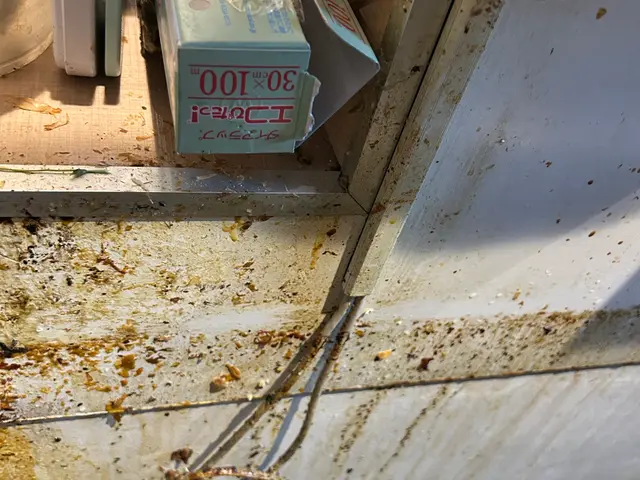 【大阪・兵庫・夜中も早急駆けつけ】対策しておかないと…この時期から爆増えです。サービスの画像