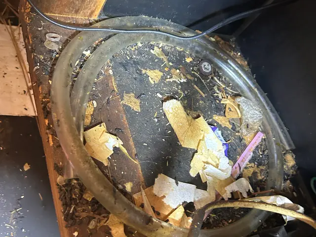 【大阪・兵庫・夜中も早急駆けつけ】対策しておかないと…この時期から爆増えです。サービスの画像