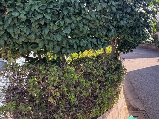 安心丁寧！ 整えるだけで、うれしくなる庭にサービスの画像