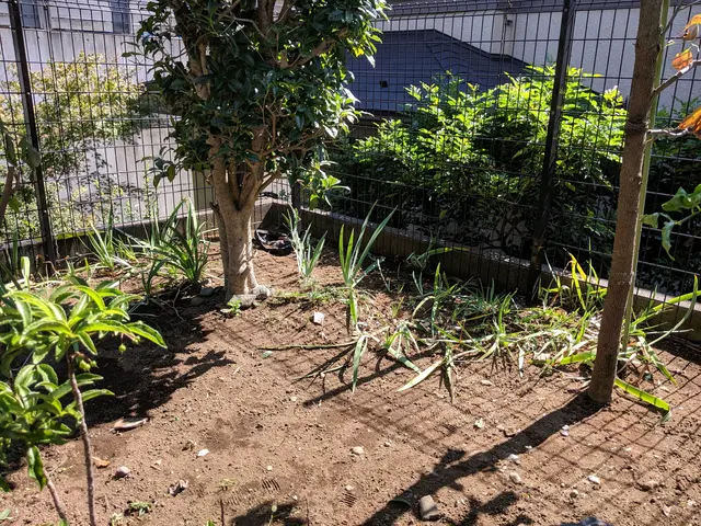 お庭すっきりしませんか？土日祝対応します。サービスの画像