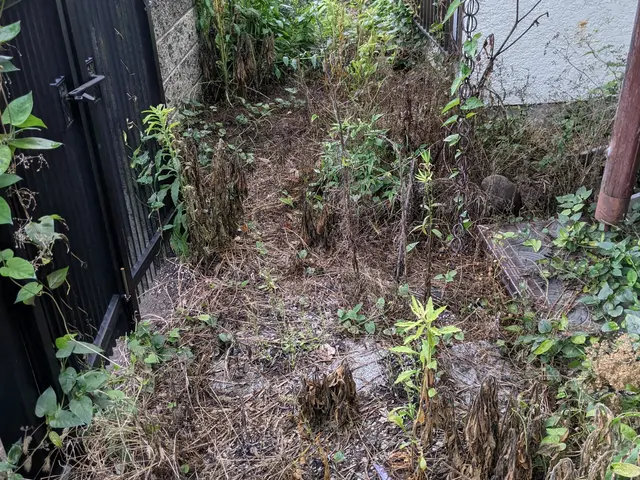 お庭すっきりしませんか？土日祝対応します。サービスの画像