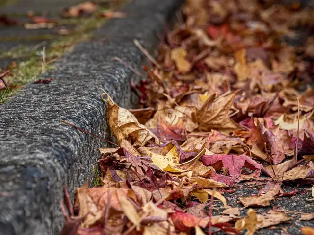 【安心低価格】落ち葉清掃はプロにお任せください！サービスの画像
