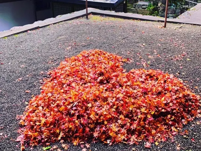 【安心低価格】落ち葉清掃はプロにお任せください！サービスの画像