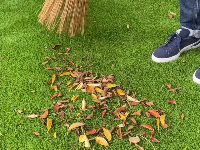 【安心低価格】落ち葉清掃はプロにお任せください！サービスの画像
