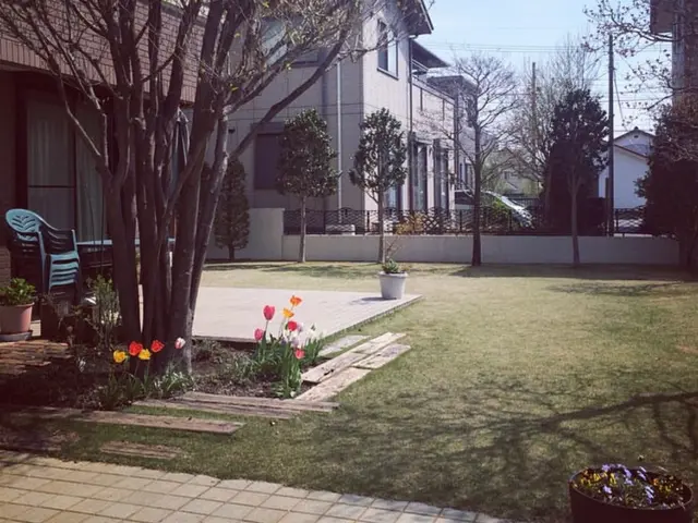 【安心低価格】落ち葉清掃はプロにお任せください！サービスの画像