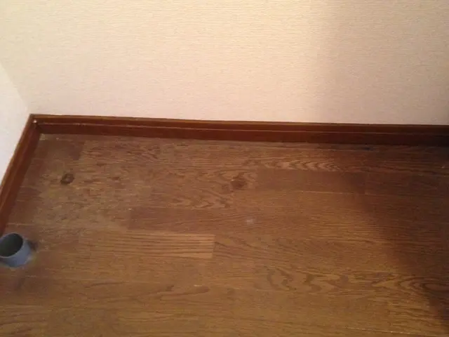 【年間作業数300件以上♪】女性スタッフ在籍で女性のお客様も安心◎損害保険加済みサービスの画像