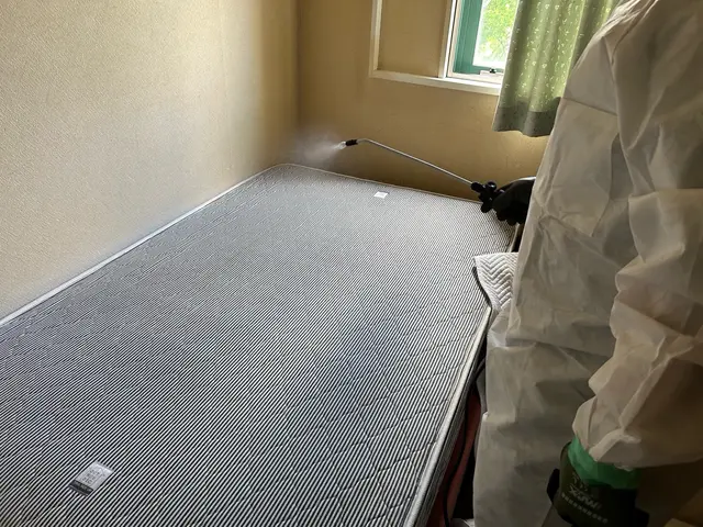 ２４時間対応　　１５年の経験で徹底駆除　急ぎの対応も可能　侵入口も見極めます。サービスの画像