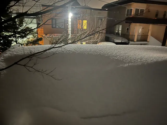 〜雪かき１１０番〜雪かき/雪庇落とし/カーポート雪下ろし/軽トラ排雪お任せ下さいサービスの画像