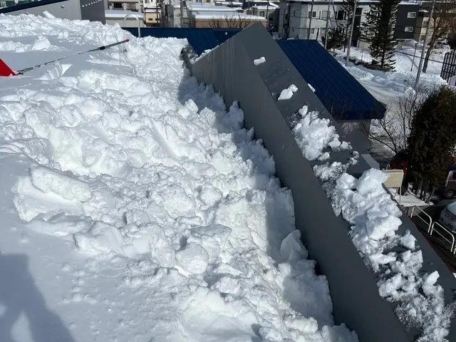 〜雪かき１１０番〜雪かき/雪庇落とし/カーポート雪下ろし/軽トラ排雪お任せ下さいサービスの画像
