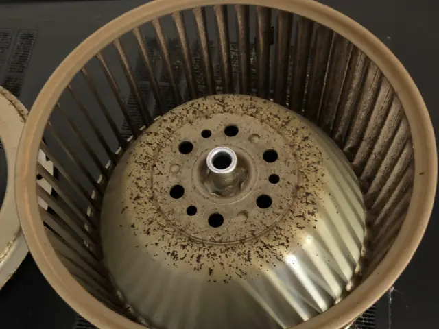 《損害保険加入》女性スタッフ同行可！汚れの程度による追加料金なし！親切丁寧に対応サービスの画像