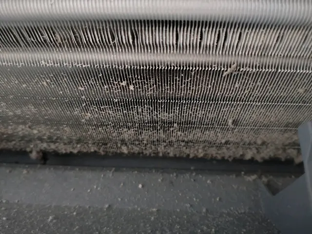 エアコンのお掃除をしませんか?カビや臭いを丁寧に取り除きます。サービスの画像