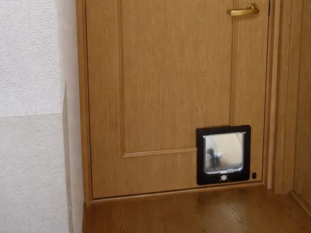 ペットドア取り付けサービスの画像