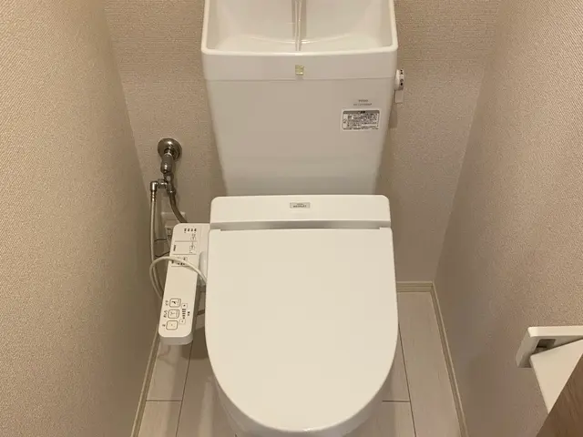 レビュー投稿してくれる方限定★通常価格12000円→10000円でのご案内！サービスの画像