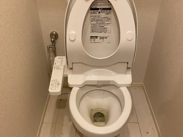 レビュー投稿してくれる方限定★通常価格12000円→10000円でのご案内！サービスの画像