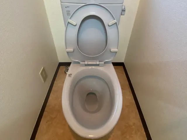 レビュー投稿してくれる方限定★通常価格12000円→10000円でのご案内！サービスの画像