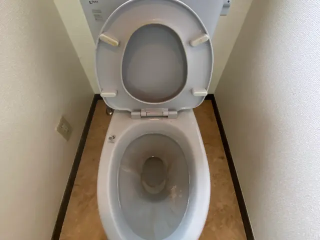 レビュー投稿してくれる方限定★通常価格12000円→10000円でのご案内！サービスの画像