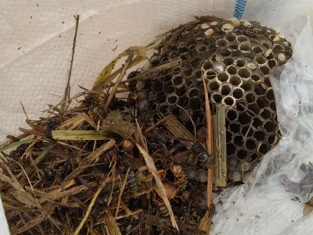 《業界実績15年！》自社スタッフがすべて対応！年中無休！女性スタッフ同行OK！サービスの画像