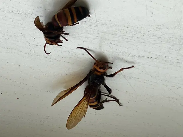 《業界実績15年！》自社スタッフがすべて対応！年中無休！女性スタッフ同行OK！サービスの画像