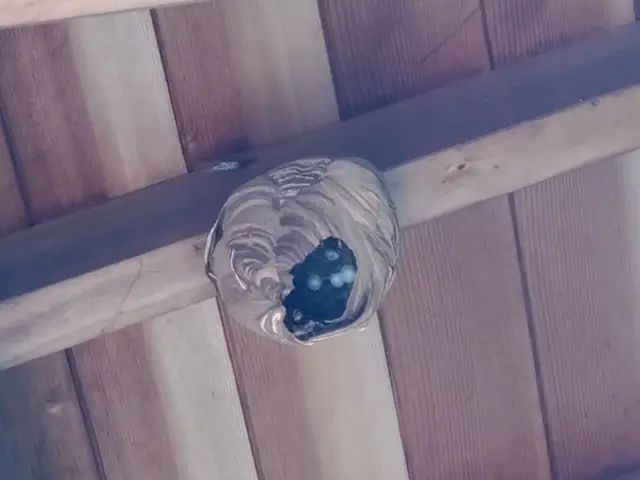 《業界実績15年！》自社スタッフがすべて対応！年中無休！女性スタッフ同行OK！サービスの画像