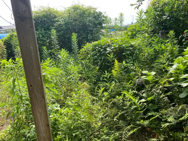 専門スタッフが丁寧に！損害保険加入で安心の出張対応サービスの画像