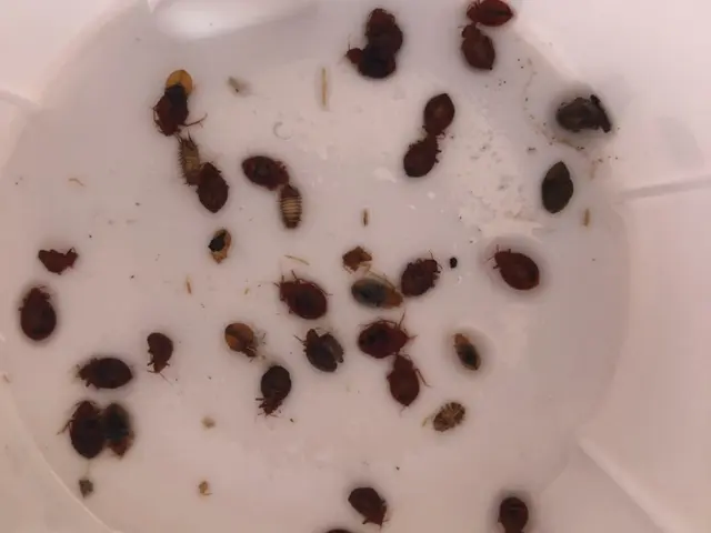 《損害保険加入》☆実績10年以上！ ☆対応時間外・地域外もご相談歓迎！サービスの画像