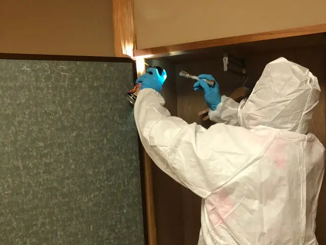 《損害保険加入》☆実績10年以上！ ☆対応時間外・地域外もご相談歓迎！サービスの画像